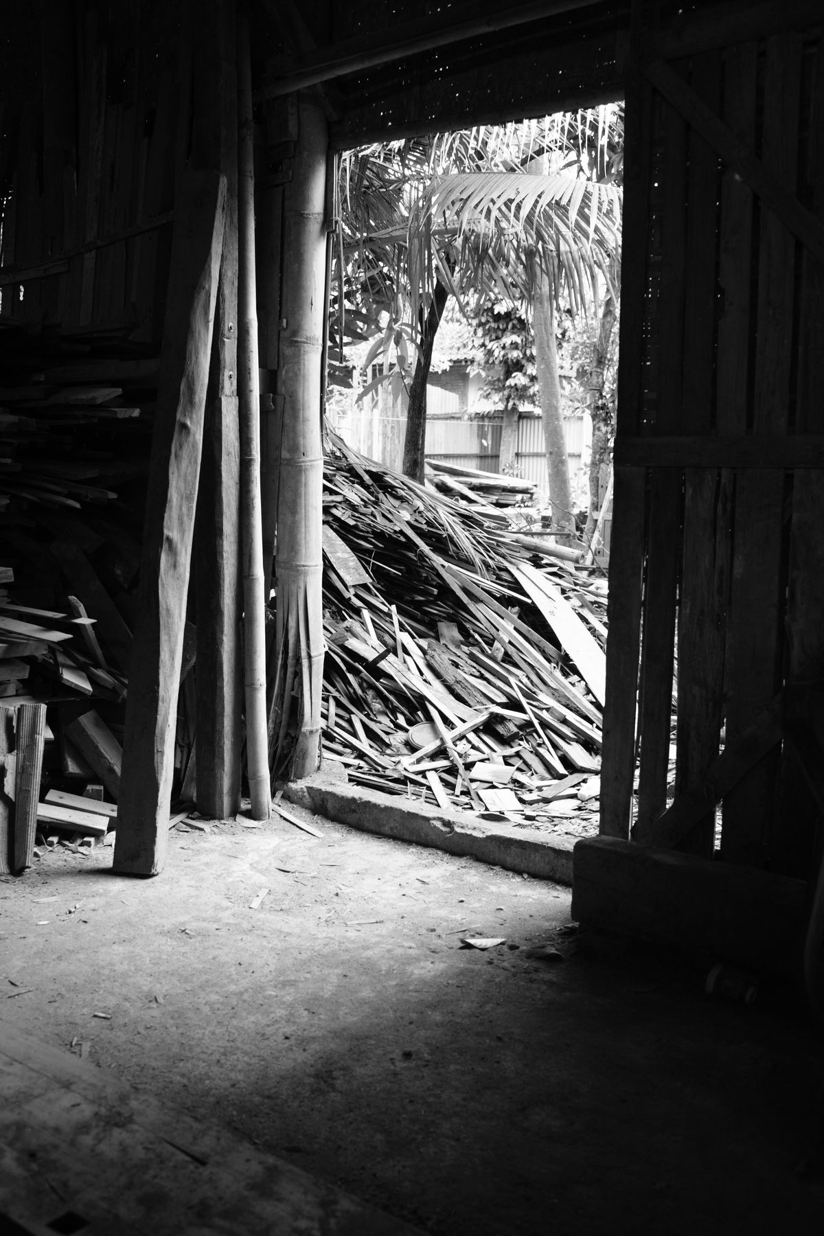 Looking out of a dark timber shed onto a pile of old wood offcuts in the sun